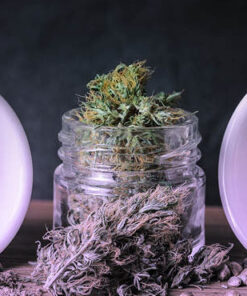 CBD