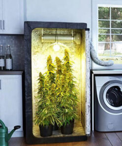 Growshop