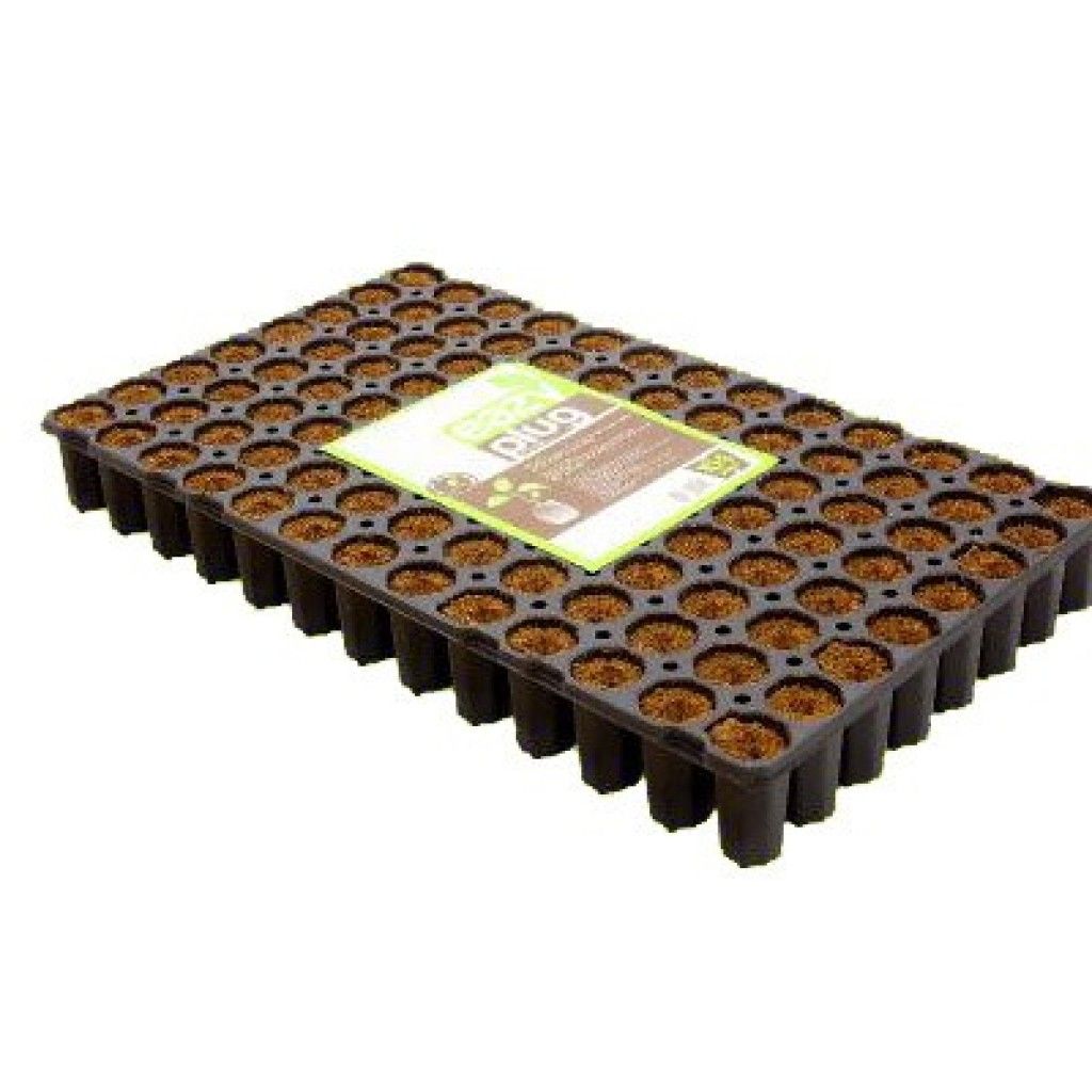 Eazy Plug -ganze Kiste- 6 Trays mit je 104Stk rund Ø 3.5cm