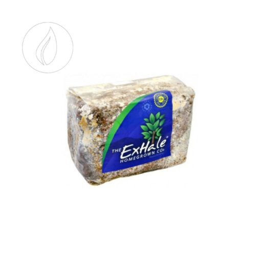 Exhale CO2 Bag – Natürliche CO₂-Versorgung für 6 Monate