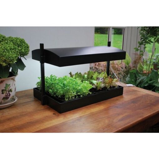 Growgarden – Dein vollwertiger Indoor-Garten