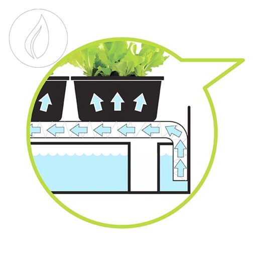 Growgarden – Dein vollwertiger Indoor-Garten – Bild 2