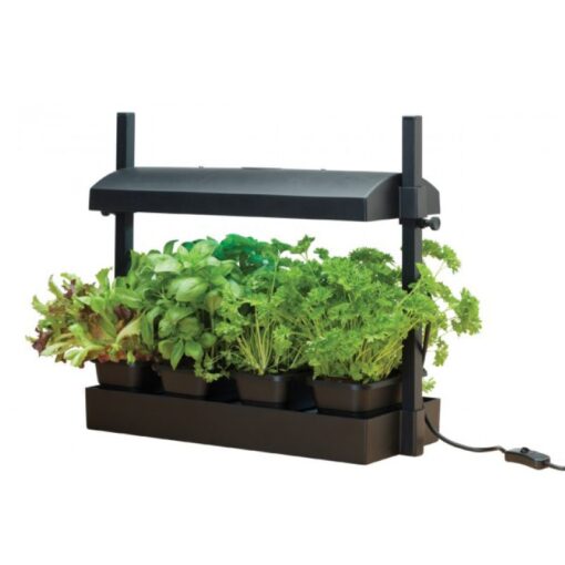 Garland Micro Grow – Der kompakte Indoor-Garten für Kräuter, Salate & mehr – Bild 3