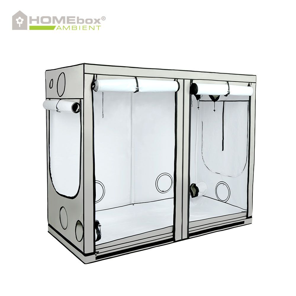 HOMEbox Ambient R240 – Die leistungsstarke Growbox für ambitionierte Indoor-Gärtner – Bild 2