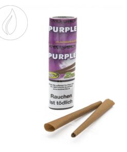 Cyclones Purple 2 in 1 Tube