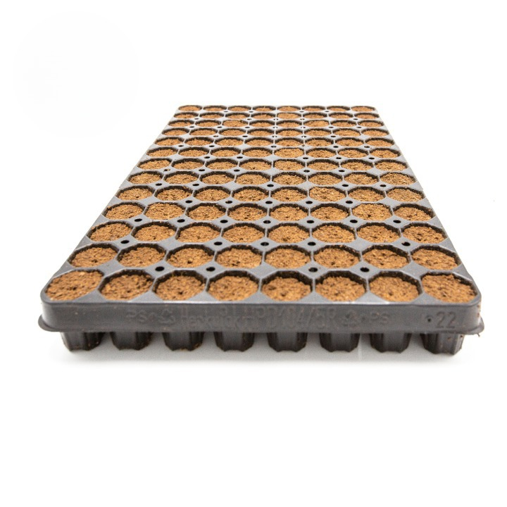 Intra Plug 104er Tray Coco