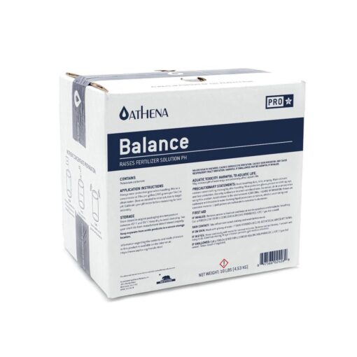 Athena Pro Balance 4.53 Kg (10Lbs)