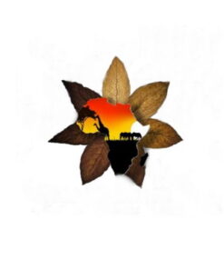 Tabako Africano Aroma Art of Vapor 10 ml