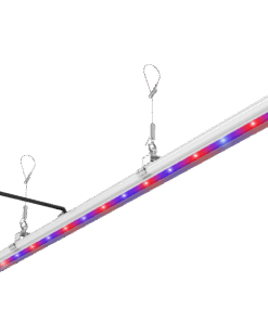 Alternative view of F.O.G BOOST UVA UVB IR 110 LED Leiste 3in1 Spektrum 30W