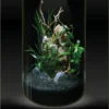 BIO ART CYLINDER 285 BLACK