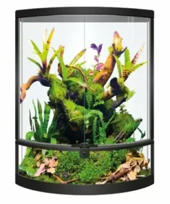 BIO ART REPTO TERRA HALF MOON 56 × 28 × 64 cm
