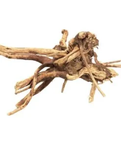 BIO ART SPIDER WOOD 10–15 CM – Naturholz für Terrarien