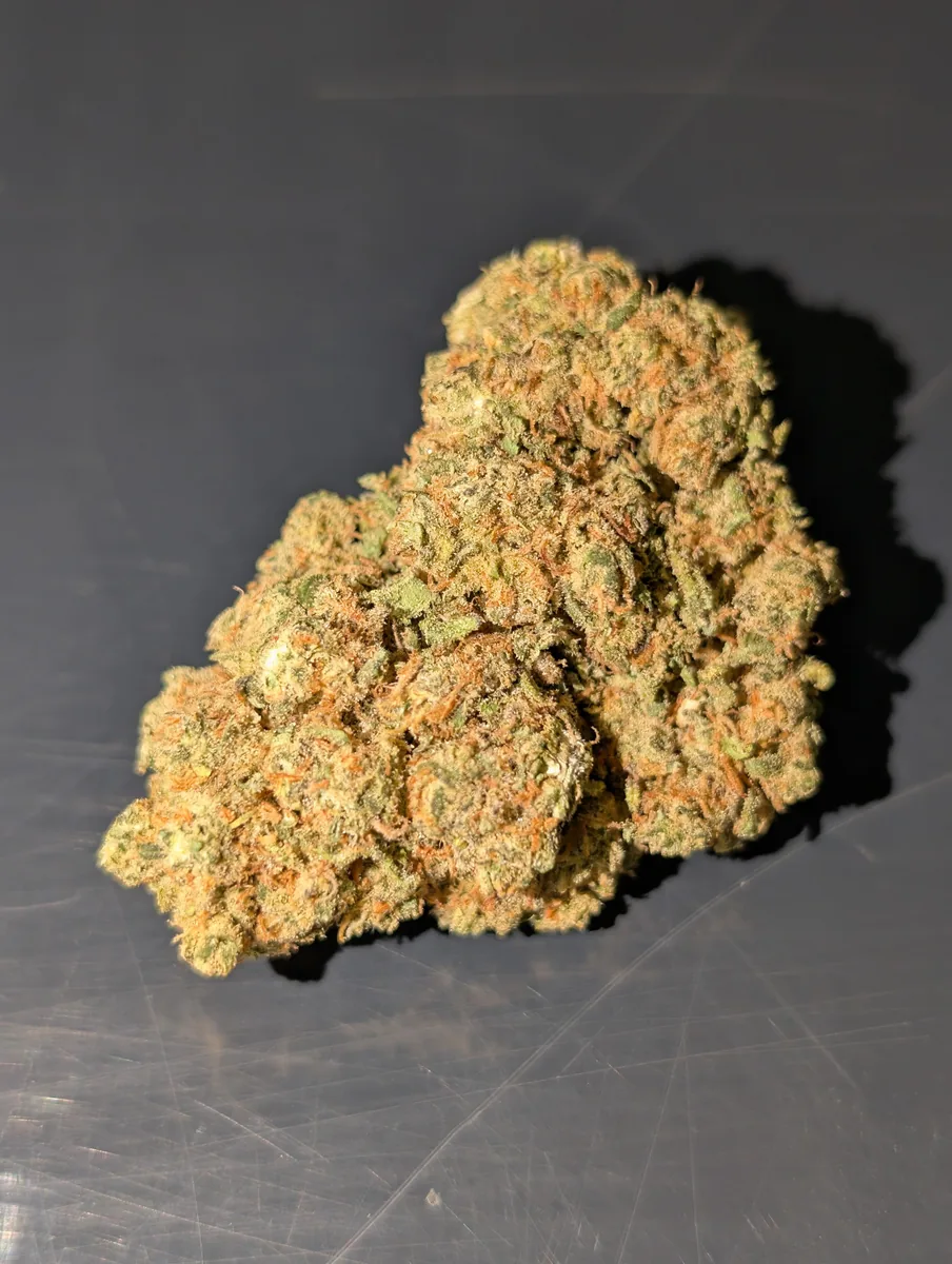 Bob’s Harlequin CBD Blüten 20% – Bestseller aus dem Bob Haus